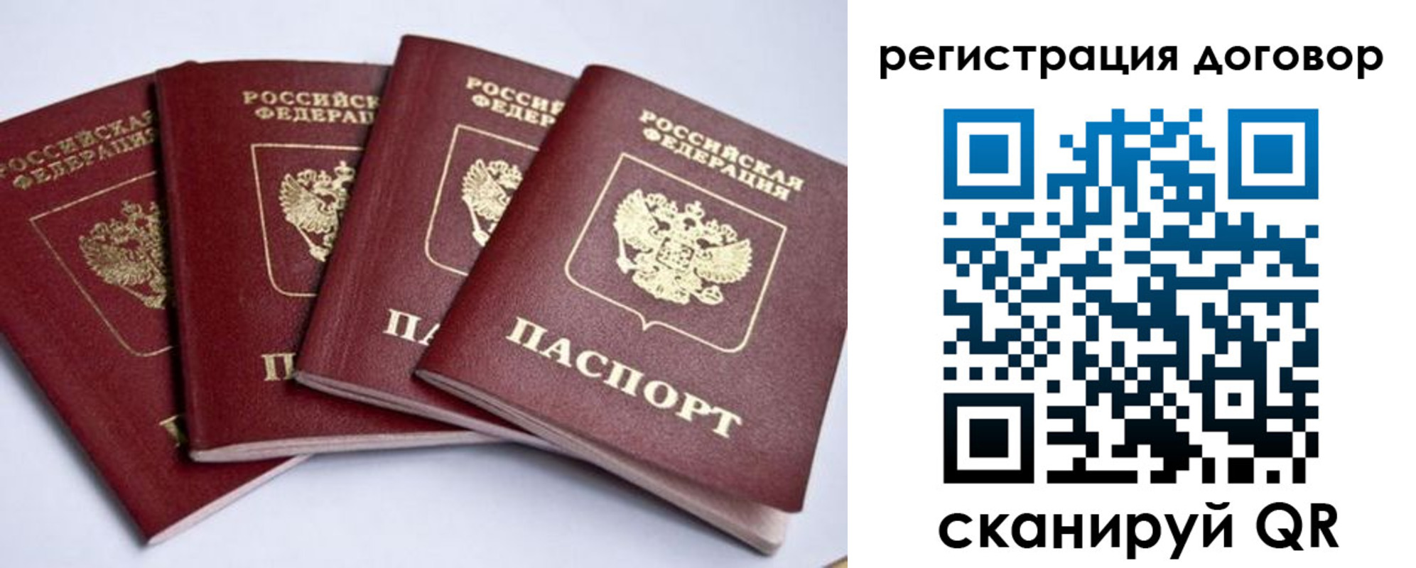 прописка поиск в Бокситогорске
