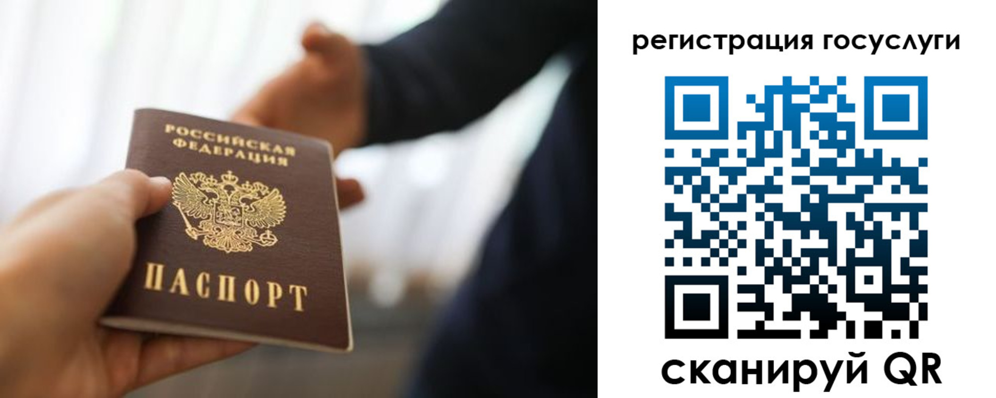 прописка в Бокситогорске